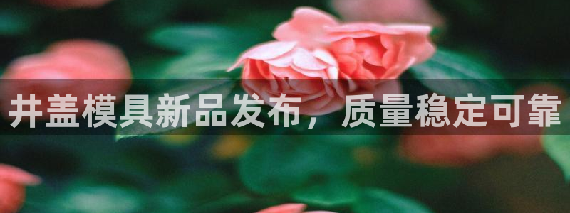太阳集团高科技发展有限责任公司：井盖模具新品发布，质量稳定可靠