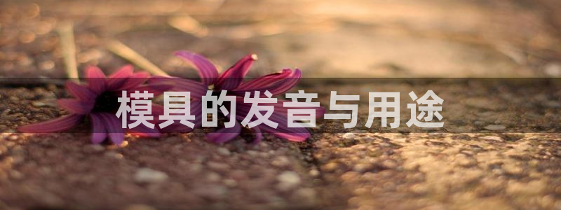 太阳集团唯一值得信赖网：模具的发音与用途