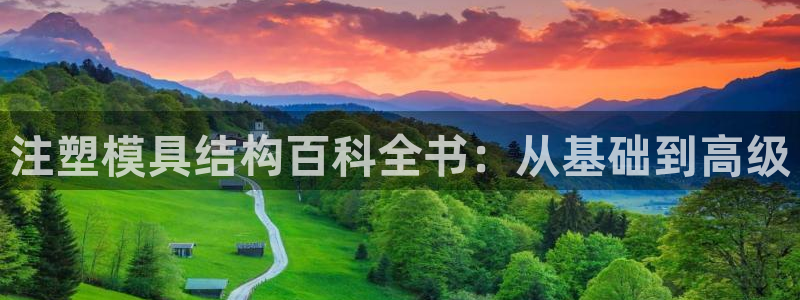 太阳集团游戏软件：注塑模具结构百科全书：从基础到高级