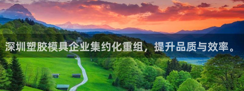 太阳成集团老板：深圳塑胶模具企业集约化重组，提升品质与效率。