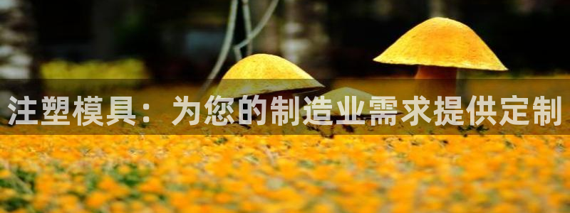 suncitygroup太阳集团