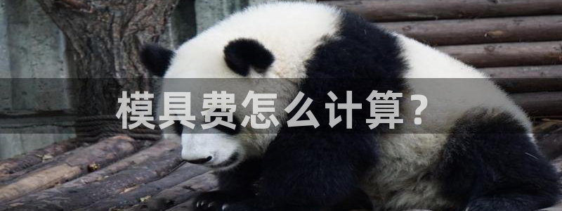 澳门太阳集团洗米华：模具费怎么计算？