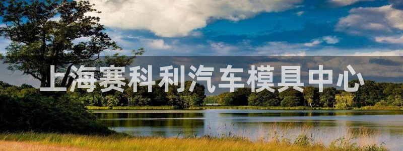 太阳成集团tyc234cc主页网址：上海赛科利汽车模具中心