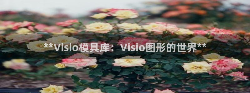 太阳集团洗米华菲律宾
