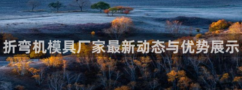 太阳1城集团网址是多少：折弯机模具厂家最新动态与优势展示