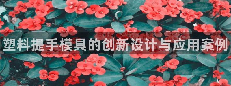 澳门太阳集团与古天乐：塑料提手模具的创新设计与应用案例