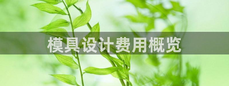 澳门太阳集团洗米华：模具设计费用概览