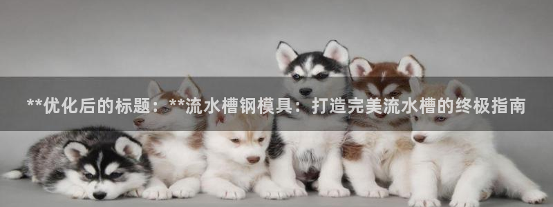 太阳集团2007：**优化后的标题：**流水槽钢模具：打造完美流水槽的终极指南
