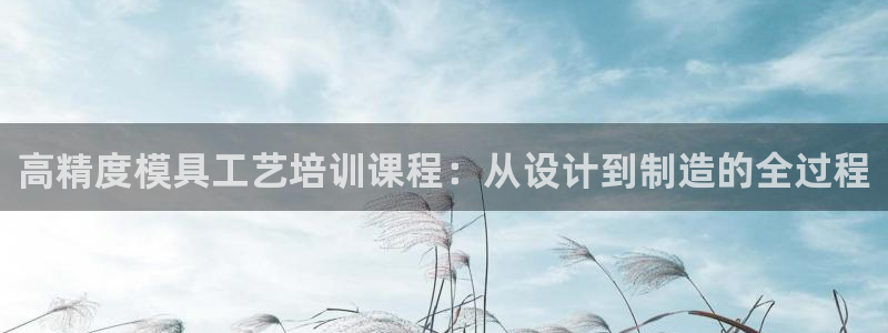 太阳诚集团有限公司：高精度模具工艺培训课程：从设计到制造的全过程
