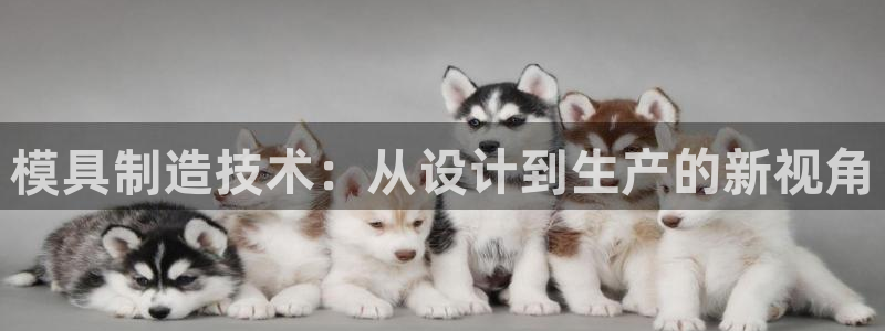 太阳集团城网址娱网 - 太阳集团电子游戏：模具制造技术：从设计到生产的新视角