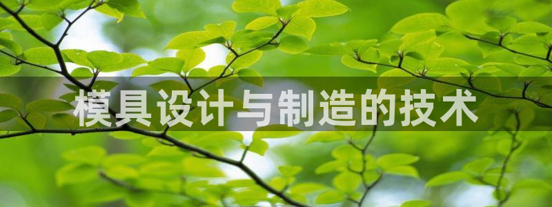 太阳gg注册地址：模具设计与制造的技术