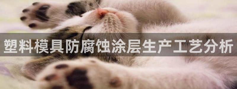 太阳游戏城：塑料模具防腐蚀涂层生产工艺分析