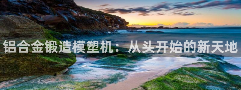 太阳gg打不开了吗：铝合金锻造模塑机：从头开始的新天地