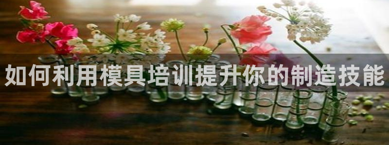 古天乐和太阳集团谁厉害：如何利用模具培训提升你的制造技能