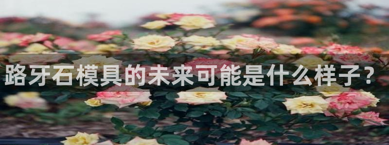太阳董事长：路牙石模具的未来可能是什么样子？