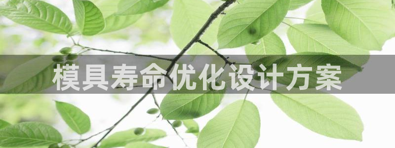 太阳gg注册登录：模具寿命优化设计方案