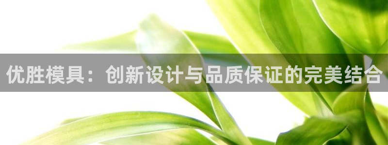 太阳成集团tyc234cc[主页]网址：优胜模具：创新设计与品质保证的完美结合
