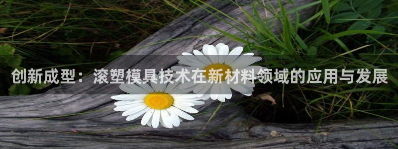 太阳app软件：创新成型：滚塑模具技术在新材料领域的应用与发展