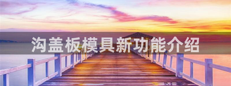 太阳电玩城下载：沟盖板模具新功能介绍