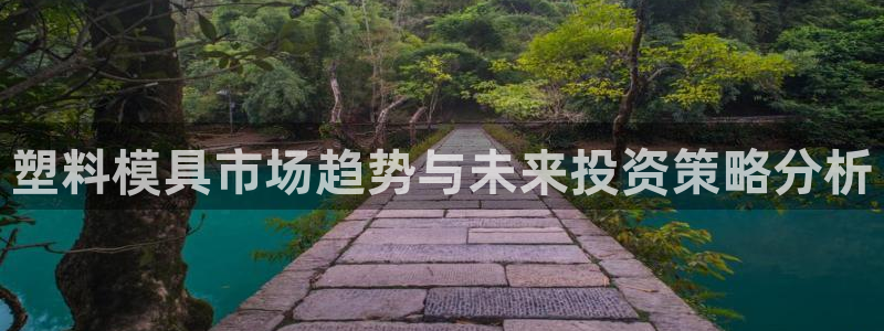 太阳阳城集团太阳卡：塑料模具市场趋势与未来投资策略分析