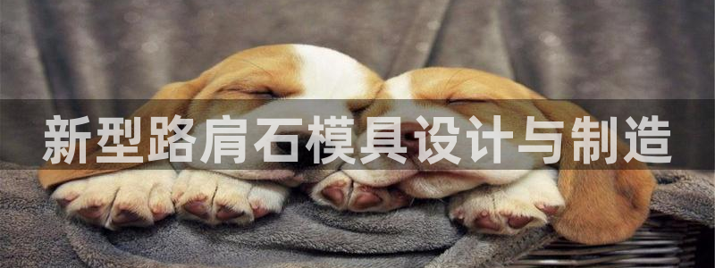 太阳集团董事长是谁?：新型路肩石模具设计与制造