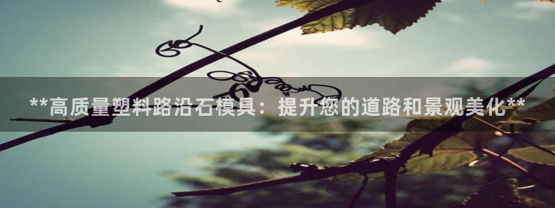 太阳集团8027：**高质量塑料路沿石模具：提升您的道路和景观美化**