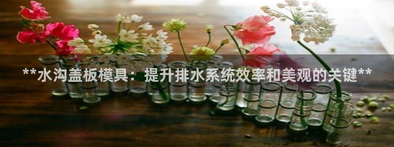 太阳集团电子游戏官方网站：**水沟盖板模具：提升排水系统效率和美观的关键**