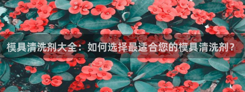 太阳集团贵宾网站