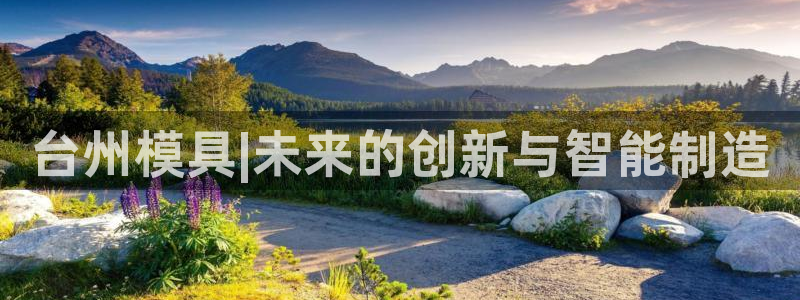 太阳集团网站入口官网：台州模具|未来的创新与智能制造