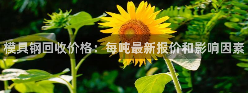 太阳集团下载链接app：模具钢回收价格：每吨最新报价和影响因素