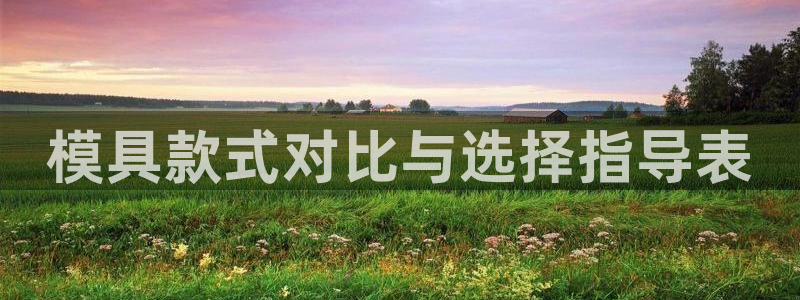 2007so太阳集团下载：模具款式对比与选择指导表