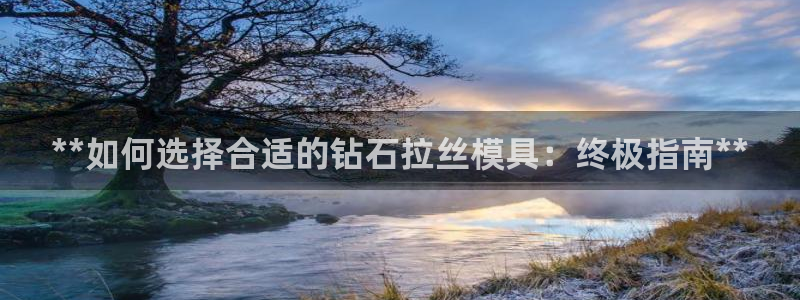 太阳集团城登录网址：**如何选择合适的钻石拉丝模具：终极指南**