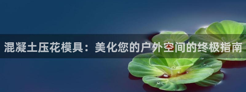 太阳成集团老板照片：混凝土压花模具：美化您的户外空间的终极指南