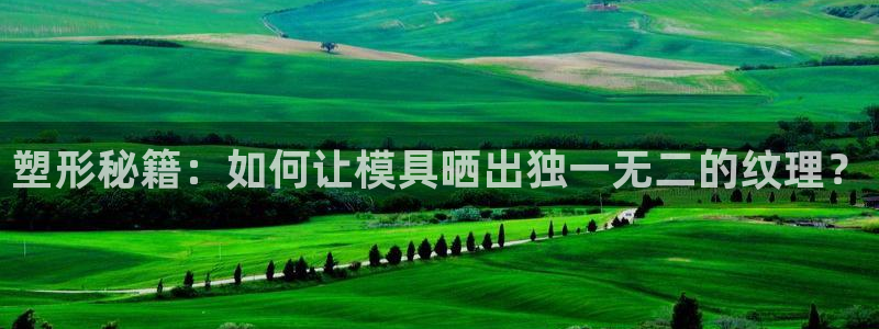 太阳2注册官网下载：塑形秘籍：如何让模具晒出独一无二的纹理？