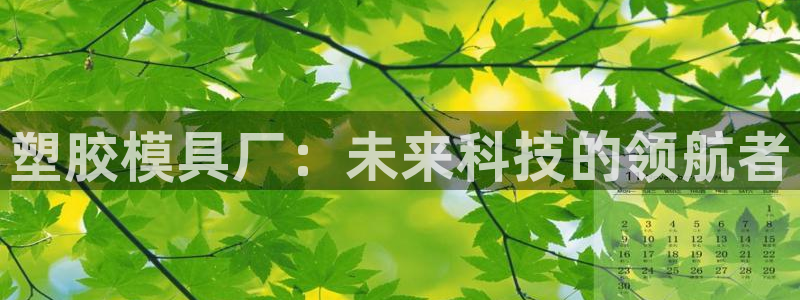 太阳成集团电影：塑胶模具厂：未来科技的领航者
