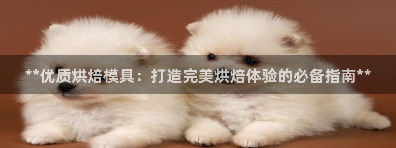 太阳游戏城：**优质烘焙模具：打造完美烘焙体验的必备指南**