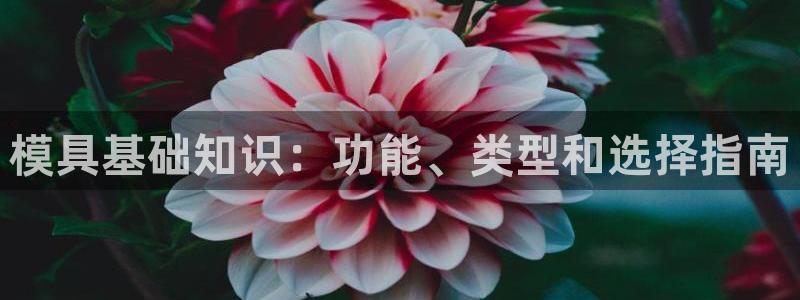 太阳成集团tyc3345