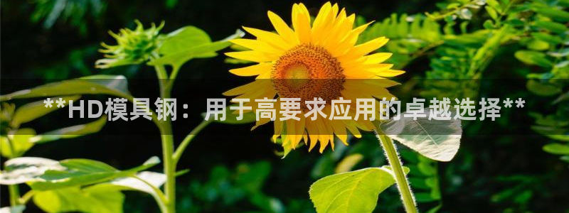 太阳集团不能提现怎么办：**HD模具钢：用于高要求应用的卓越选择**