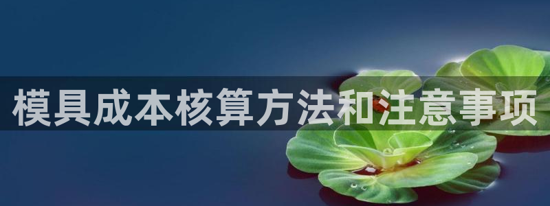 太阳gg登录：模具成本核算方法和注意事项