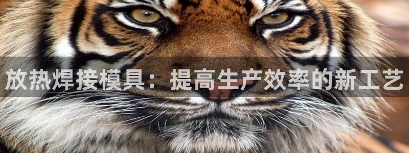 太阳集团地址：放热焊接模具：提高生产效率的新工艺