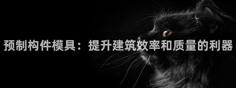 太阳集团城官方app下载苹果：预制构件模具：提升建筑效率和质量的利器