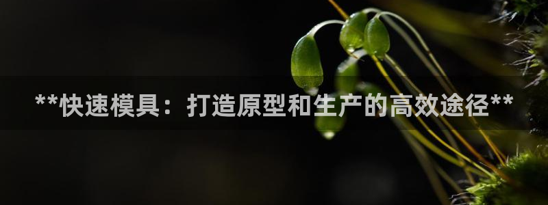 太阳成集团tyc234cc：**快速模具：打造原型和生产的高效途径**
