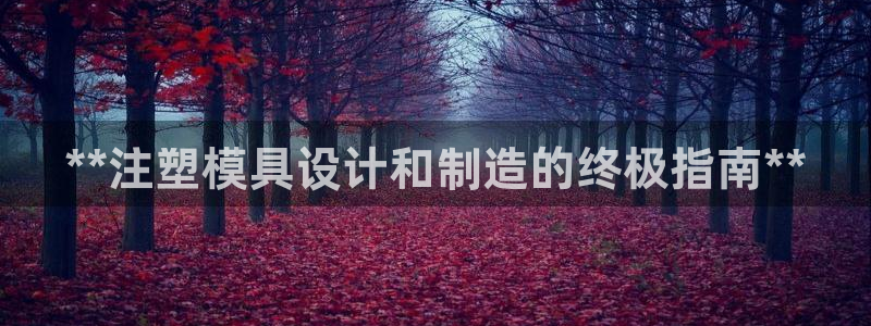 太阳gg平台注册：**注塑模具设计和制造的终极指南**