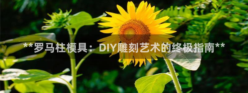 太阳集团网址8722：**罗马柱模具：DIY雕刻艺术的终极指南**