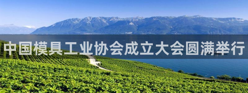太阳集团娱乐全部网址视频：中国模具工业协会成立大会圆满举行