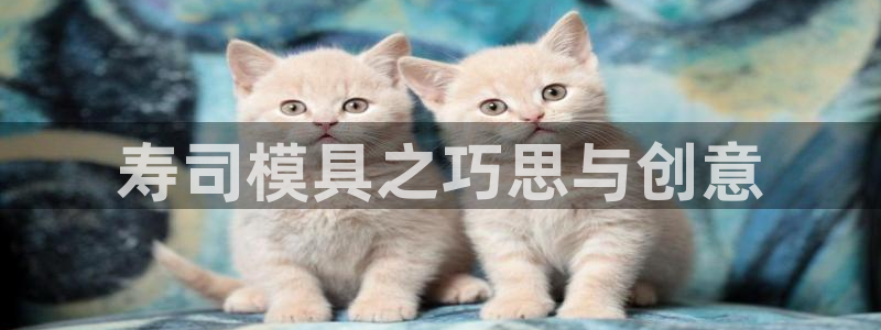 太阳gg是真的吗：寿司模具之巧思与创意