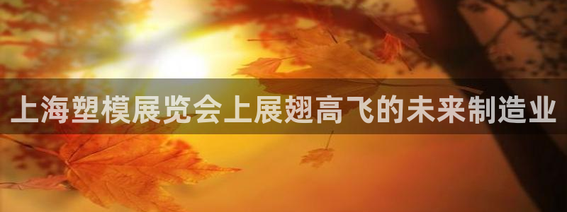 太阳集团电子游戏不朽的浪漫视频：上海塑模展览会上展翅高飞的未来制造业