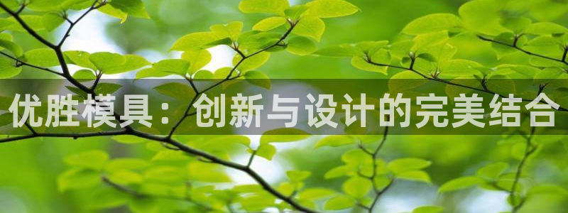 太阳集团备用网址：优胜模具：创新与设计的完美结合