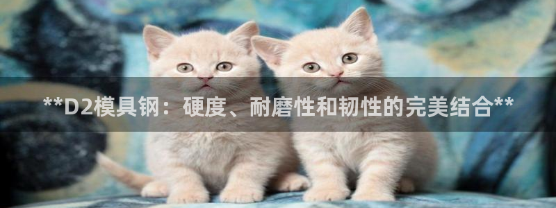 太阳app官方下载：**D2模具钢：硬度、耐磨性和韧性的完美结合**
