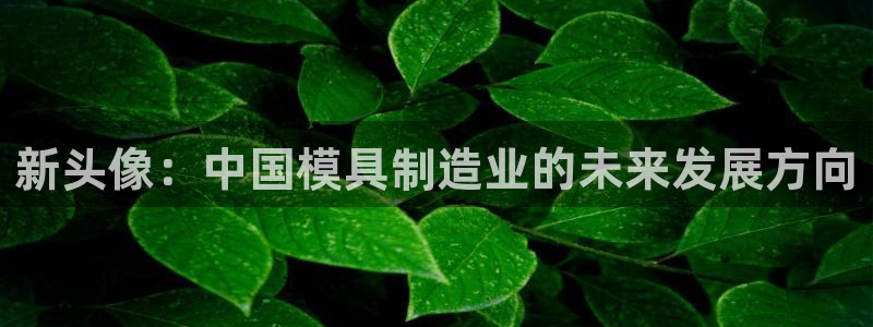 suncitygroup太阳集团--官方网站：新头像：中国模具制造业的未来发展方向